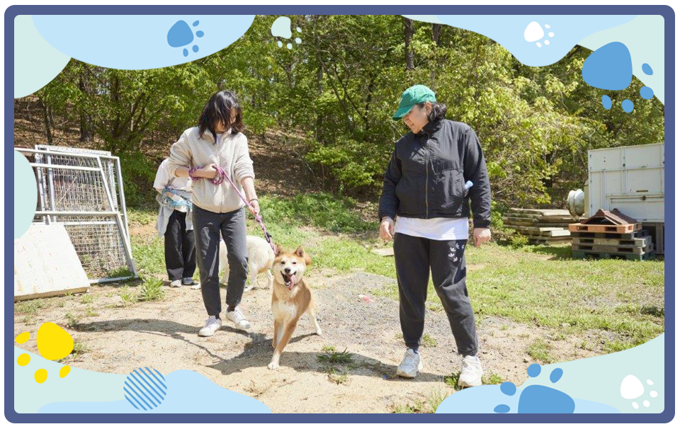 사내 동호회 봉사활동 체험기_04.png